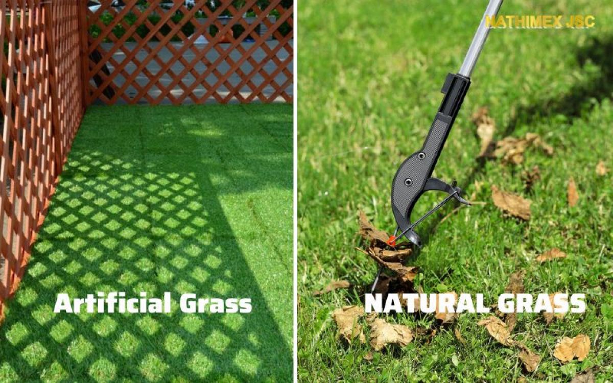 Artificial Grass vs Natural Grass: Which One is Right for You?