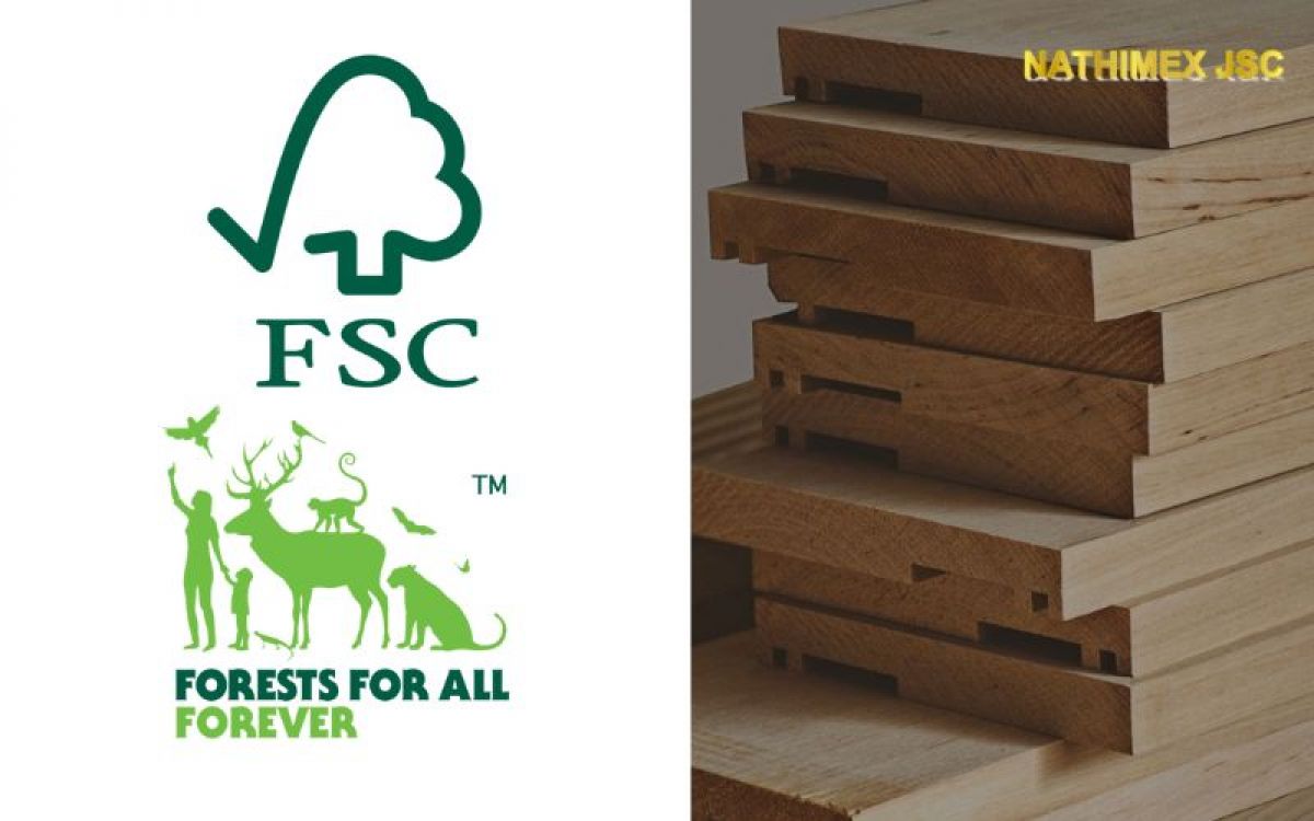 Understanding The Forest Stewardship Council (FSC) Certification