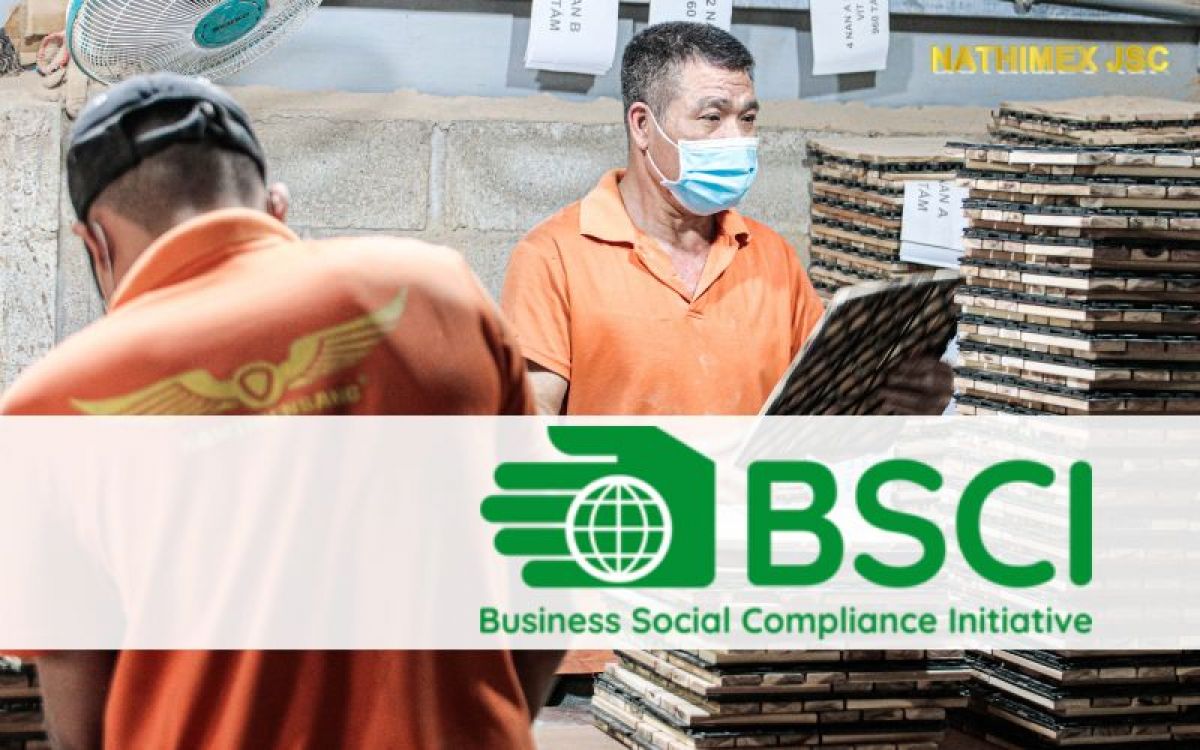 Standards of The Business Social Compliance Initiative (BSCI)